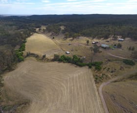 Rural / Farming commercial property for sale at 470 Yambira Road Grenfell NSW 2810
