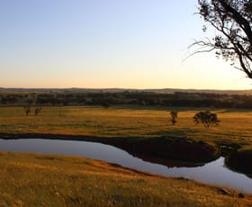Rural / Farming commercial property sold at Donald Murtoa Road Kewell VIC 3390