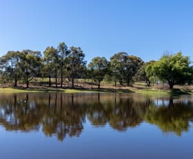 Rural / Farming commercial property sold at 2439 Mitchell Highway Vittoria NSW 2799