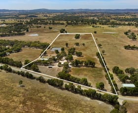 Rural / Farming commercial property for sale at 166 Springvale Road Lockwood South VIC 3551