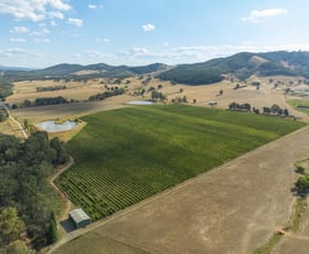 Rural / Farming commercial property for sale at Allot/99B Carboor-Whorouly Road Whorouly South VIC 3735