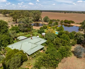 Rural / Farming commercial property for sale at 969 Thanowring Road Temora NSW 2666