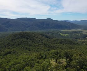 Rural / Farming commercial property sold at 2310 Billirimba Road Tenterfield NSW 2372