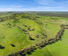 Rural / Farming commercial property for sale at CA3 Hagans Lane Toolleen VIC 3551
