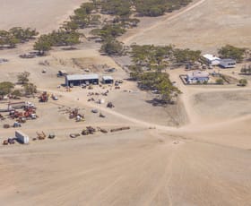 Rural / Farming commercial property for sale at 1225a McEvoy Road Chandada SA 5680