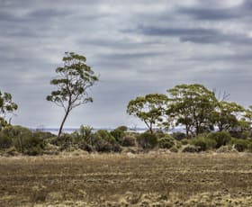 Rural / Farming commercial property for sale at 25433 Avon Location Road Mukinbudin WA 6479