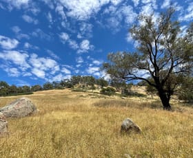 Rural / Farming commercial property sold at 1, 1 Ponkeen Creek Road Tarcombe VIC 3666