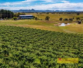 Rural / Farming commercial property for sale at 2222 Bylong Valley Way Rylstone NSW 2849