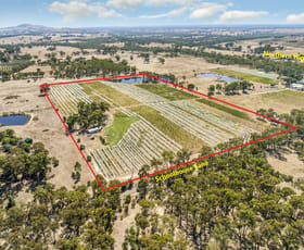 Rural / Farming commercial property for sale at 1081 Schoolhouse Lane Heathcote VIC 3523