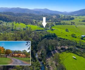 Rural / Farming commercial property sold at 1165 Pappinbarra Rd Hollisdale NSW 2446