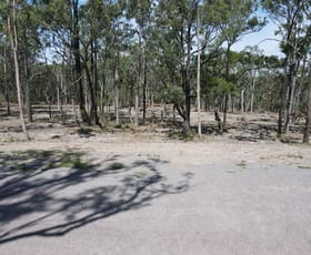 Rural / Farming commercial property sold at Lot 31/448 East Seaham Road East Seaham NSW 2324