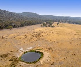 Rural / Farming commercial property sold at 4A, 59, 59A, & 59C Brisbane Track and Wilsons Lane Balliang VIC 3340