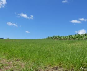 Rural / Farming commercial property sold at 79 Fallon Road Garradunga QLD 4860