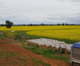 Rural / Farming commercial property for sale at 'Inverness' Old Winton Road Tamworth NSW 2340