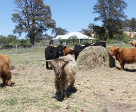 Rural / Farming commercial property sold at 8991 Nerriga Road Braidwood NSW 2622