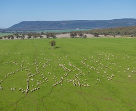 Rural / Farming commercial property sold at 799 Pleasant Valley Road Binya NSW 2665