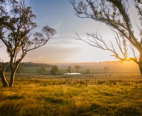 Rural / Farming commercial property sold at Wingello NSW 2579