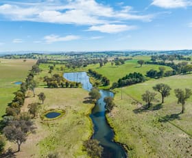 Rural / Farming commercial property for sale at 253 Swan Ponds Road Woodstock NSW 2793