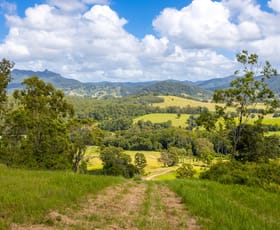 Rural / Farming commercial property for sale at Lot 101 Beitibombi Creek Road Wherrol Flat NSW 2429