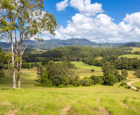 Rural / Farming commercial property for sale at Lot 101 Beitibombi Creek Road Wherrol Flat NSW 2429