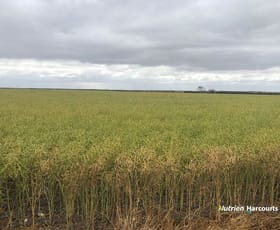 Rural / Farming commercial property sold at , Johnstone's Block Mindarabin WA 6336