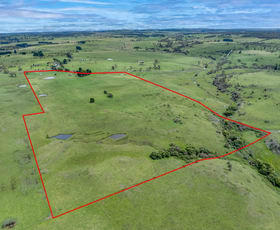 Rural / Farming commercial property for sale at 118 Golspie Road Taralga NSW 2580