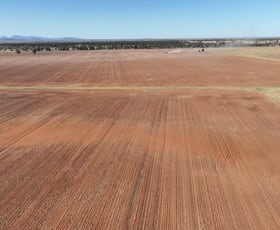 Rural / Farming commercial property sold at Kaemar 3905 Baradine Road Coonamble NSW 2829