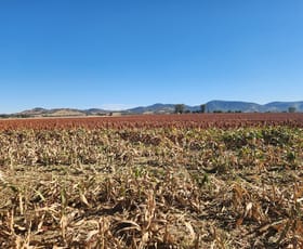 Rural / Farming commercial property sold at . Duri Winton Rd Winton NSW 2344