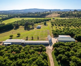 Rural / Farming commercial property for sale at 19 Zig Zag Road Beechworth VIC 3747