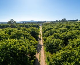 Rural / Farming commercial property sold at 19 Zig Zag Road Beechworth VIC 3747