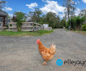 Rural / Farming commercial property for sale at 111 Currans Road Cooranbong NSW 2265
