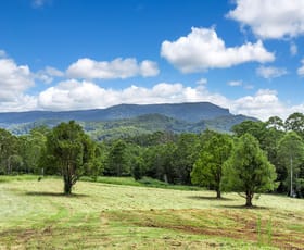 Rural / Farming commercial property for sale at 1163 Williams Road Lillian Rock NSW 2480