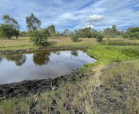 Rural / Farming commercial property for sale at 149 Old Port Curtis Rd Port Curtis QLD 4700