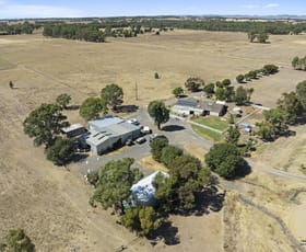 Rural / Farming commercial property sold at 785 Bells Road Caniambo VIC 3630