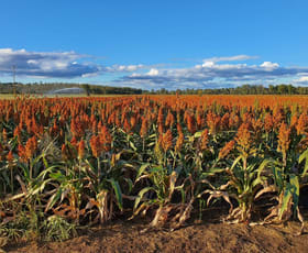 Rural / Farming commercial property for sale at 206 Mondure Crossing Road Glan Devon QLD 4615 Rural / Farming commercial property for sale at 206 Mondure Crossing Road Glan Devon QLD 4615