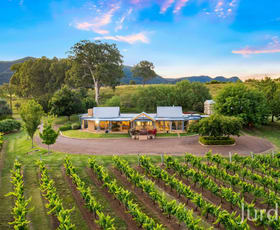 Rural / Farming commercial property for sale at 658 De Beyers Road Pokolbin NSW 2320