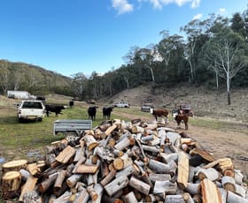 Rural / Farming commercial property sold at 657 Newfoundland Road Bannaby NSW 2580