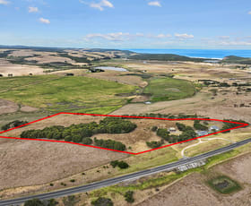 Rural / Farming commercial property for sale at 7711 Great Ocean Road Princetown VIC 3269