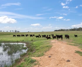 Rural / Farming commercial property for sale at 536 Cooma Road Braidwood NSW 2622 Rural / Farming commercial property for sale at 536 Cooma Road Braidwood NSW 2622