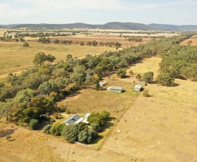 Rural / Farming commercial property for sale at 5097 Olympic Hwy Koorawatha via Cowra NSW 2794