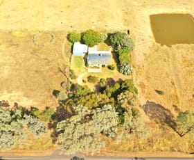 Rural / Farming commercial property for sale at 5097 Olympic Hwy Koorawatha via Cowra NSW 2794