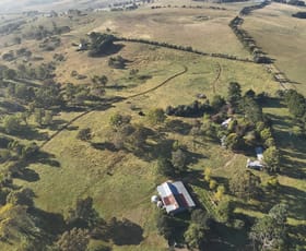 Rural / Farming commercial property for sale at 620 Levels Road Golspie NSW 2580