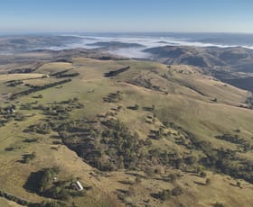 Rural / Farming commercial property for sale at 620 Levels Road Golspie NSW 2580