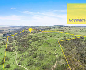 Rural / Farming commercial property for sale at 2375 Collector Road Collector NSW 2581