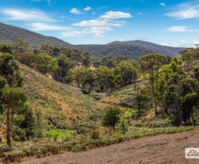Rural / Farming commercial property sold at Tantaraboo Road Willowmavin VIC 3764