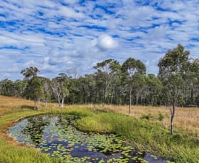 Rural / Farming commercial property for sale at 457 Limestone Creek Road Adelaide Park QLD 4703