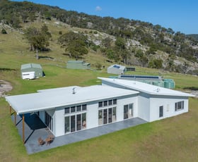 Rural / Farming commercial property for sale at 337 Mount Mackenzie Road Tenterfield NSW 2372
