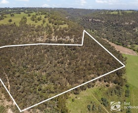 Rural / Farming commercial property for sale at 1165 Mount Vincent Road Ilford NSW 2850