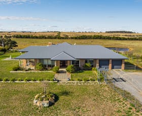 Rural / Farming commercial property sold at "Long Yard" 2060 Wargeila Road Laverstock NSW 2582