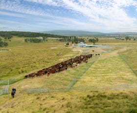 Rural / Farming commercial property for sale at 'Dunvegan'/161 Nine Mile Road Dundee NSW 2370